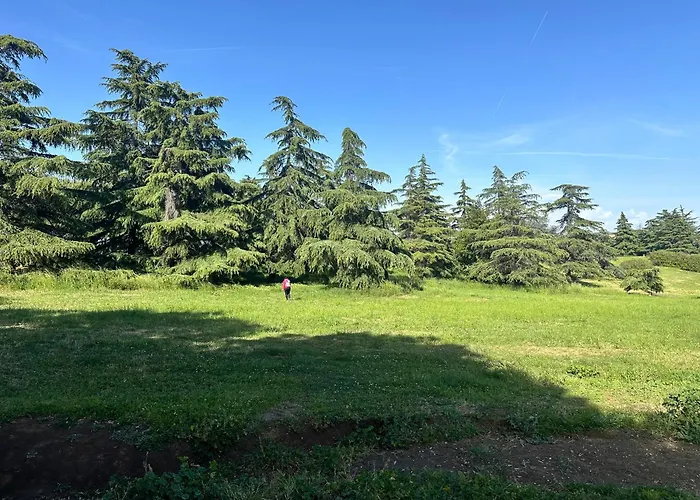 Olimpia Pamphili - Centro Storico Di - Gianicolo Trastevere San Pietro