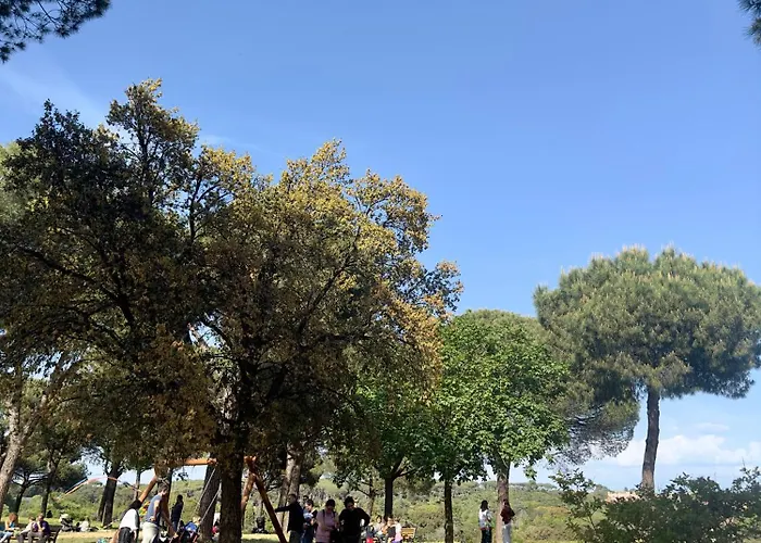 Daire Olimpia Pamphili - Centro Storico Di - Gianicolo Trastevere San Pietro Roma